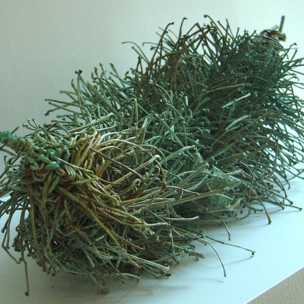 'Virginia' - Boston Ivy Stems, patina