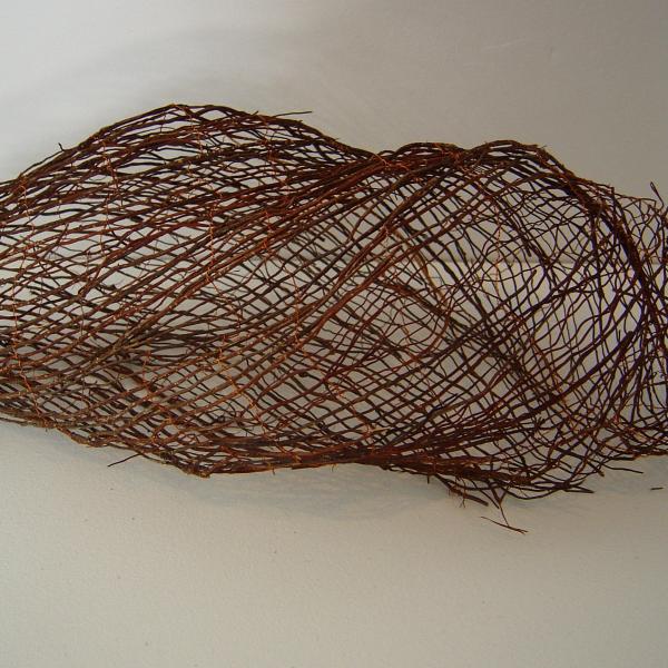 'Cocoon' - air roots