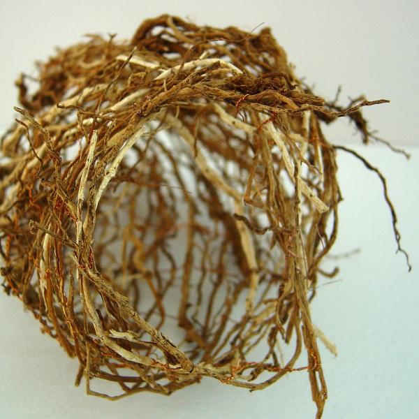 Weed-Pod - roots woven